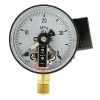 ТМ-510Р.04(0-1)МPa.М20х1,5.1,5 ЭКМ исп.IV(з+з) УТ-00001339