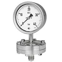 RSCh G 100-3vDW -1...+3 bar + MDM7910vd8 PN60 1/2"NPT СИЛИКОН + разделитель УТ000014689