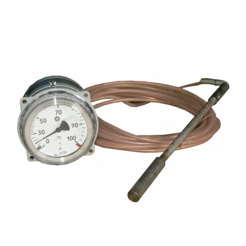 ТГП-100Эк-М1-(-50...+100)°С-1,5-6-250 УТ-00001159