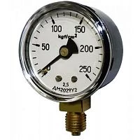 ДМ2029 2,5 кгс/см2 кл.2,5 М12х1,5 УТ000000851
