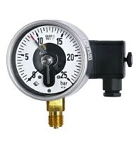 RCh 100-1 160 kgf/cm2 S21 G1/2" ЭКМ исп.V УТ000009285