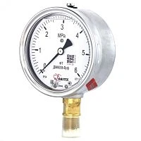 ДМ8008-ВУф 25 МПа кт.1,0 M20х1,5 IP65 Б-110  ГЛИЦЕРИН УТ-00000702