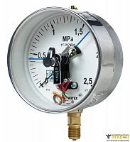 ДМ2005ф 1 МПа кл.1,5 исп V IP54 SG без фланца УТ-00000986