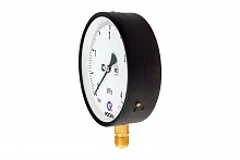 ТМ-610Р.00(0-6)MPa.M20х1,5.1,0 УТ-00000373