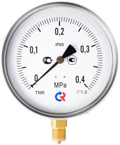 ТМ-620Р.00(0-6)MPa.М20х1,5.1,0  СИЛИКОН УТ000013442