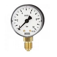 111.10.063 6 bar кл.2,5 G1/4" Корпус пластик УТ000003887