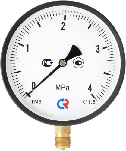 ТМ-610Р.00(0-6)MPa.M20х1,5.1,5 УТ000000593