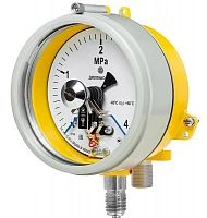 ДМ2005ф Сг1Ехd КС 1,6 МПа кл.1,5 исп V  УТ000014599